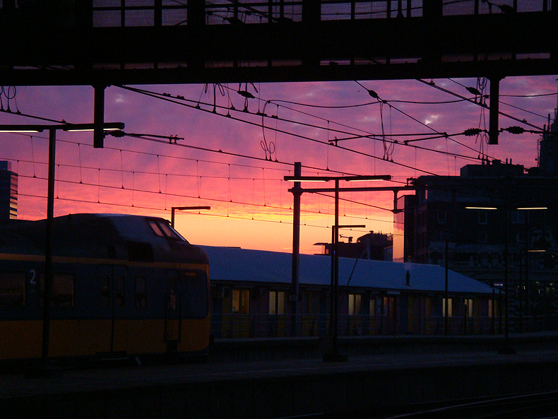 amsterdam_purple_morning.jpg