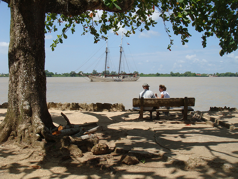 boat_paramaribo_tree.jpg