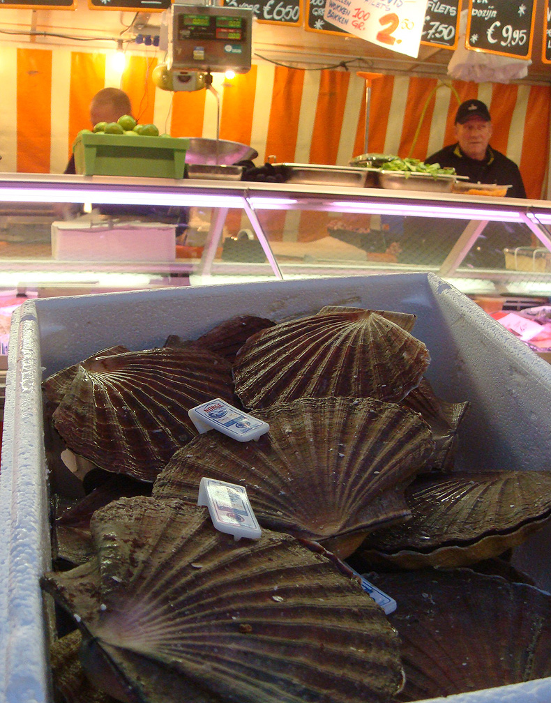 clams_market.jpg