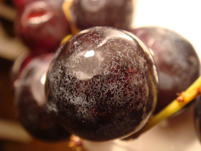 grape.jpg