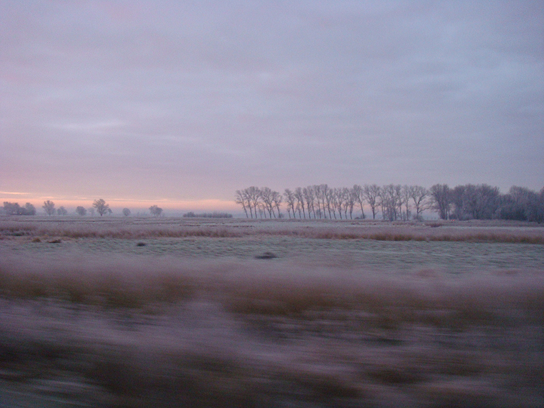morning_frost_train.jpg