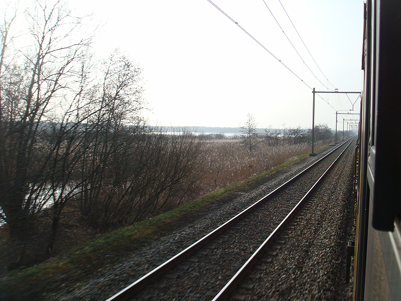 train_rails.jpg